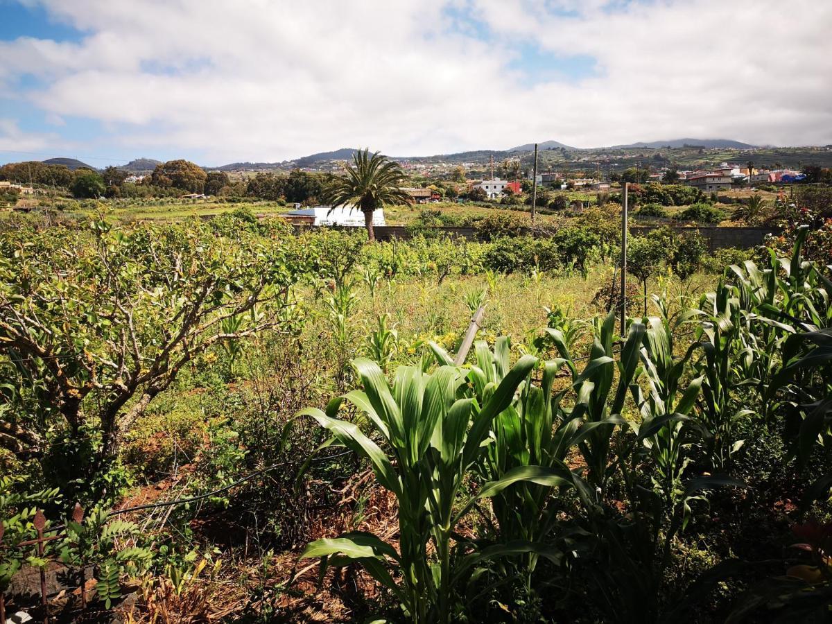 Vila Casa Rural, Espectaculares Vistas Teide Wifi- Bbq Tacoronte Exteriér fotografie